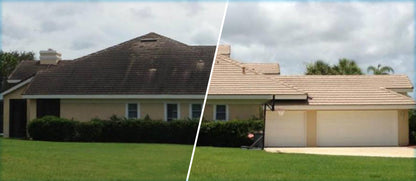 Hypo SuperFoam+ (Moss & Algae Remover) Softwash Solution