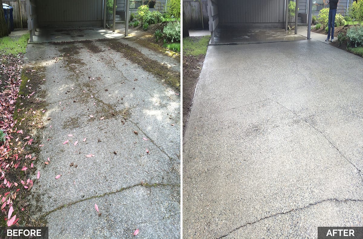 Hypo SuperFoam+ (Moss & Algae Remover) Softwash Solution