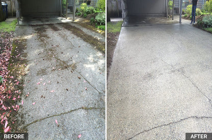 Hypo SuperFoam+ (Moss & Algae Remover) Softwash Solution